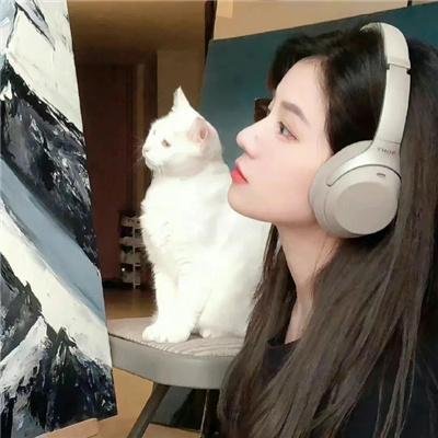 捕风追影